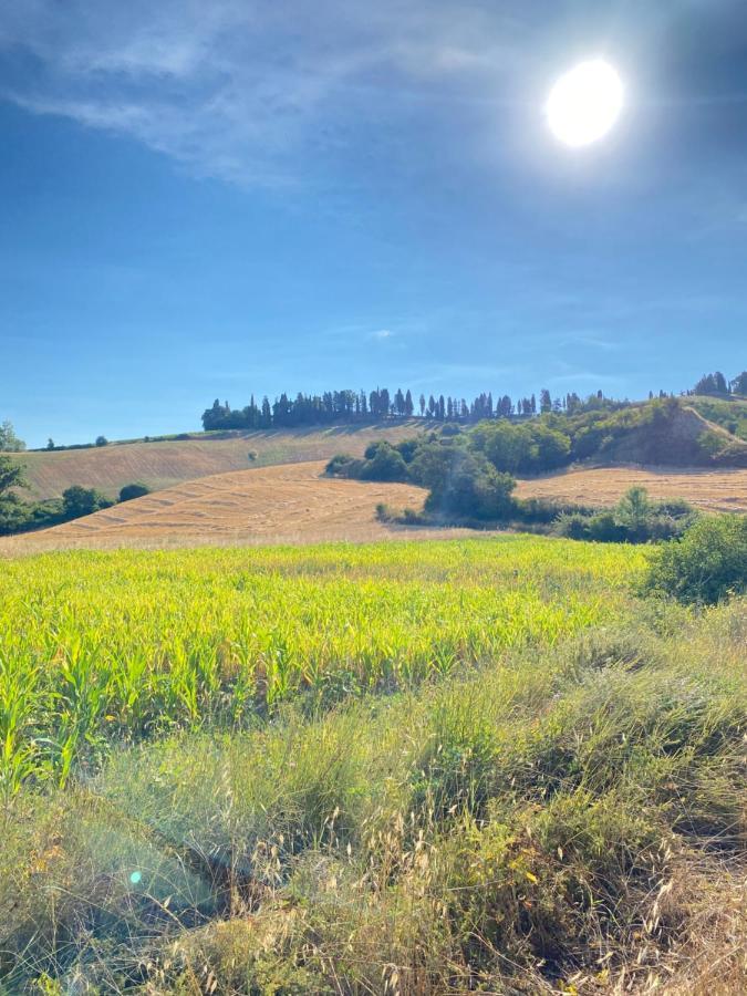 Agriturismo I Moricci Peccioli 外观 照片