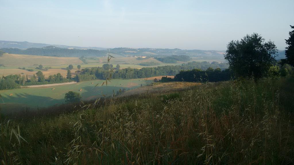 Agriturismo I Moricci Peccioli 外观 照片