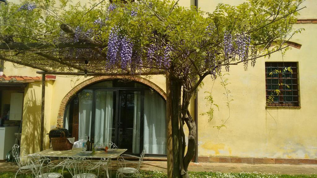 Agriturismo I Moricci Peccioli 外观 照片