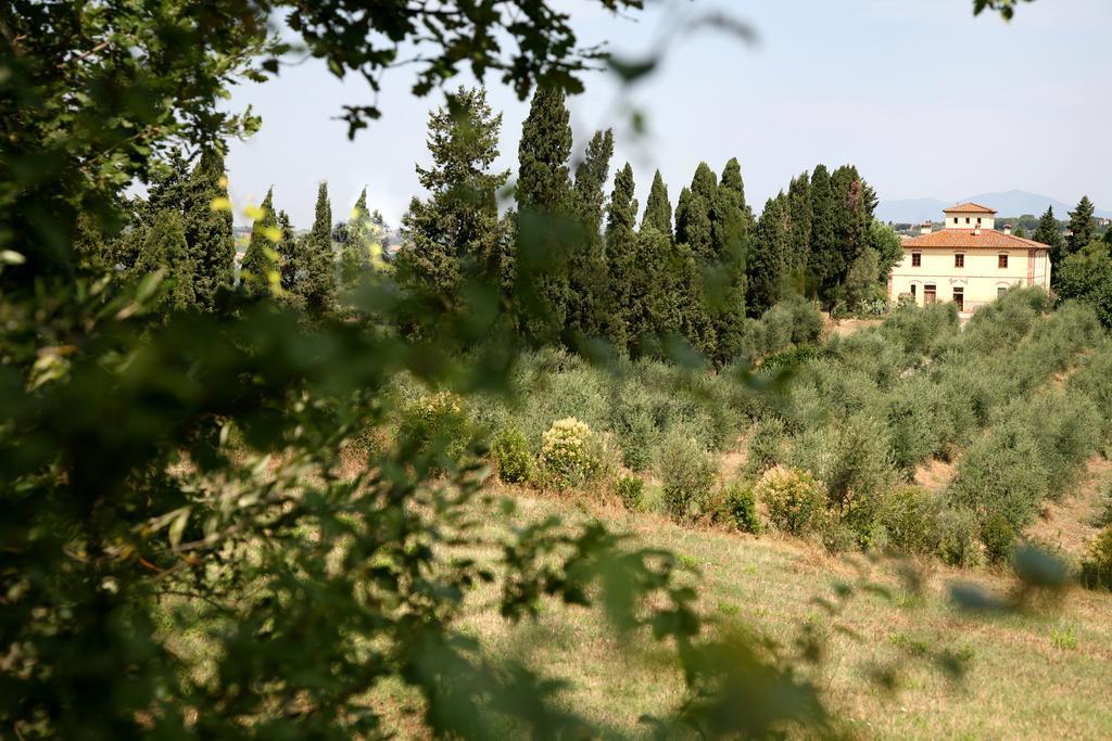 Agriturismo I Moricci Peccioli 外观 照片