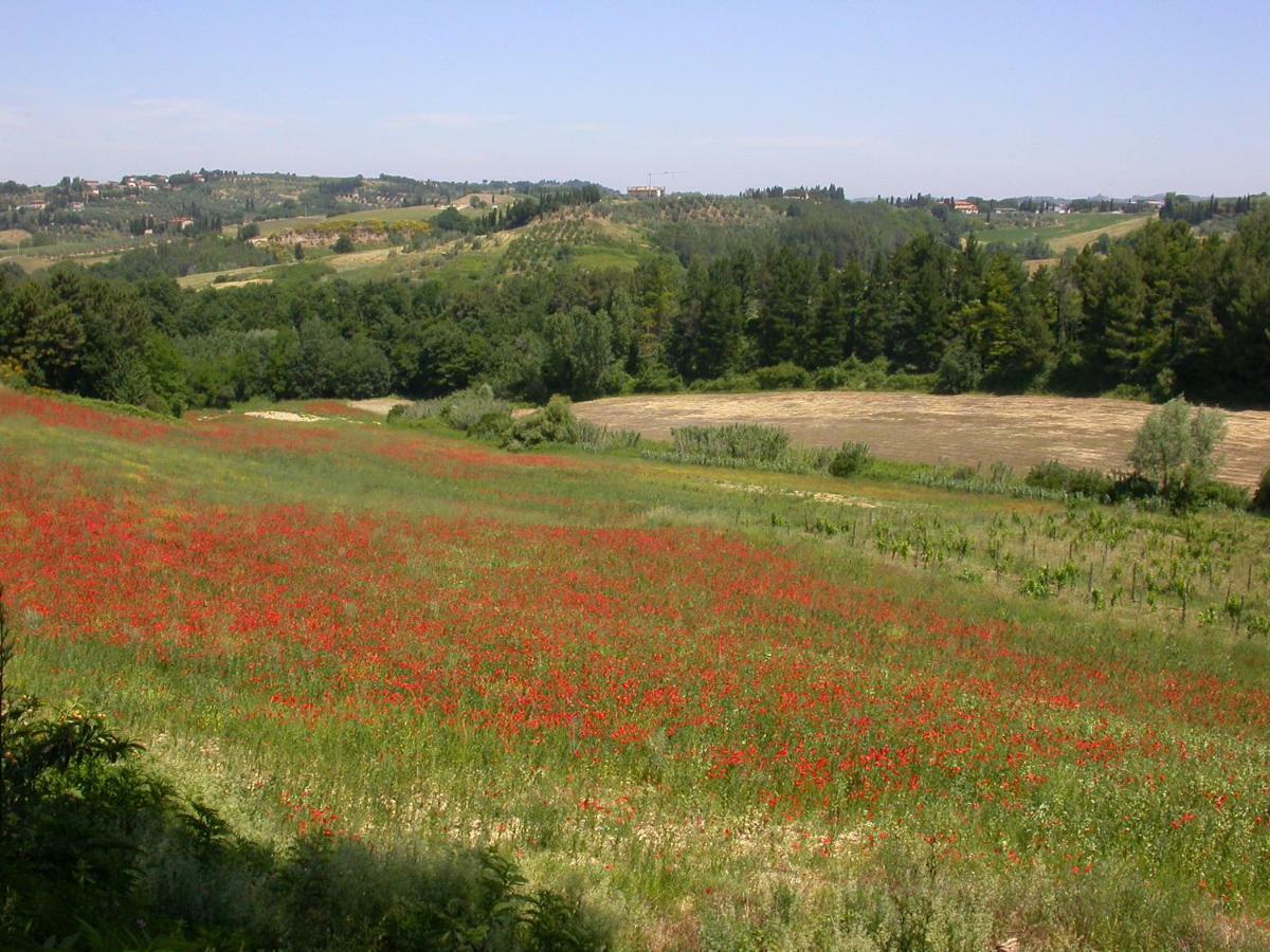 Agriturismo I Moricci Peccioli 外观 照片